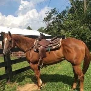 Meet your Posher, Tina